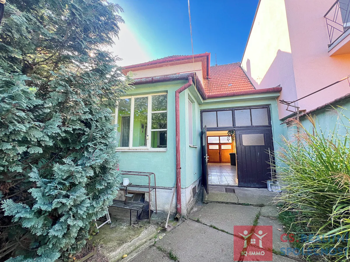 Fotka 11 z 13